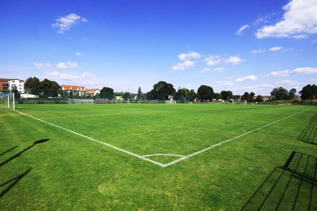 Boisko trawiaste_6